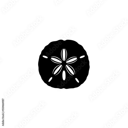 Sand dollar test or hard shell after animal is dead. Marine inhabitants, remains of sea creatures on the beach. Biology and fauna concept. Beachcombing