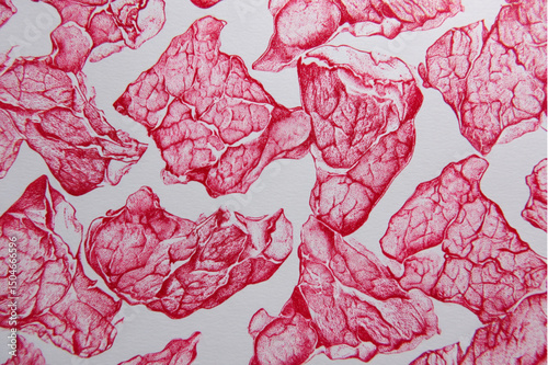 Detailed red ink drawing of abstract shapes resembling meat cuts on white background surface art design