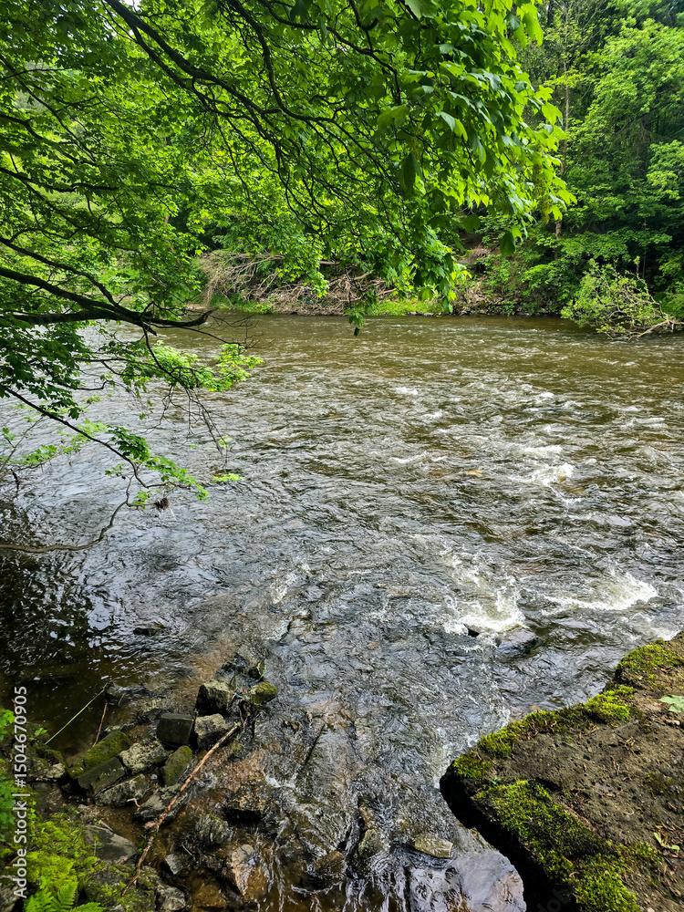 Obraz premium Liquid Power wild river TorrentFlow