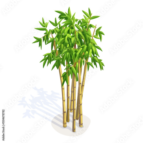Bamboo, vector graphic, 2D flat isometric cartoon illustration on white background.
