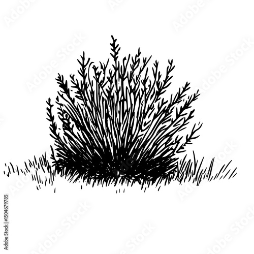 Fotomural Sagebrush Silhouette Vector for Themed Design & Branding