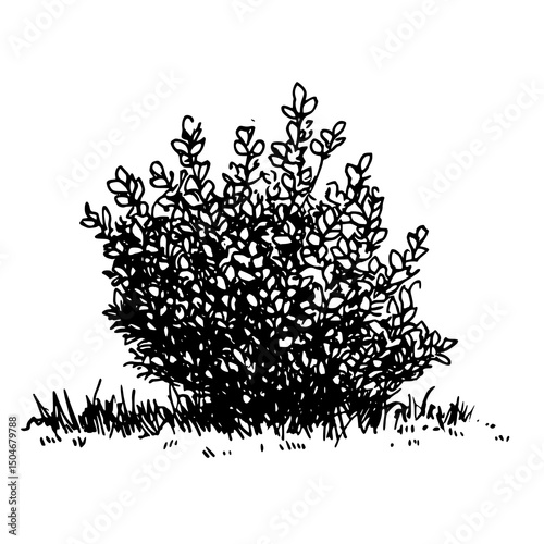 Wall Mural Sagebrush Silhouette Vector for Themed Design & Branding