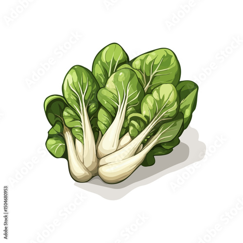 Bok Choy, vector graphic, 2D flat isometric cartoon illustration on white background.
