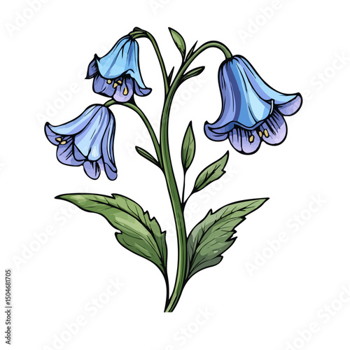Bluebell, vector graphic, 2D flat isometric cartoon illustration on white background.
