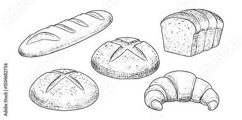  Bread different types hand drawn doodle outline icon set. Bread engraving, line art. Wheat products, baked goods, bakery.