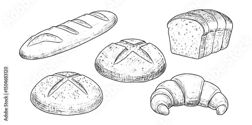  Bread different types hand drawn doodle outline icon set. Bread engraving, line art. Wheat products, baked goods, bakery. photo