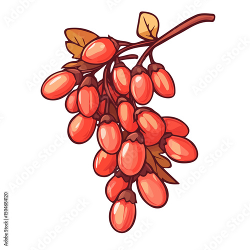 Barberry, flat 2D isometric cartoon vector image isolated on white background.