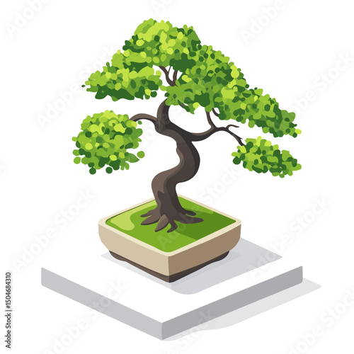 Bonsai Tree, cartoon vector illustration, flat 2D isometric style, white background.
