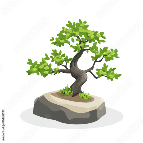 Bonsai Tree, vector graphic, 2D flat isometric cartoon illustration on white background.
