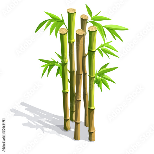 Bamboo, flat 2D isometric cartoon vector image isolated on white background.