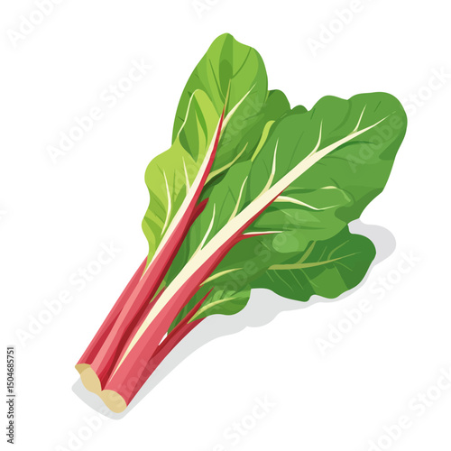 Chard, flat 2D isometric cartoon vector image isolated on white background.