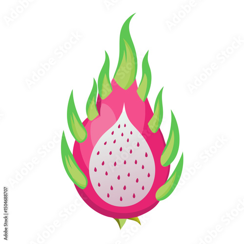 vector illustration of a dragonfruit