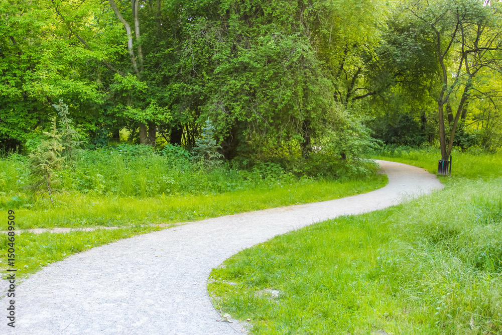 Obraz premium A winding gravel path leading through a lush green forest, inviting exploration and peaceful walks,