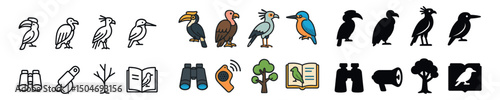 Bird watching icon collection in outline, filled, and flat styles. avian and wildlife symbols