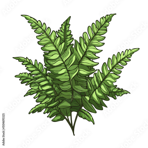 Fern, cartoon vector illustration, flat 2D isometric style, white background.