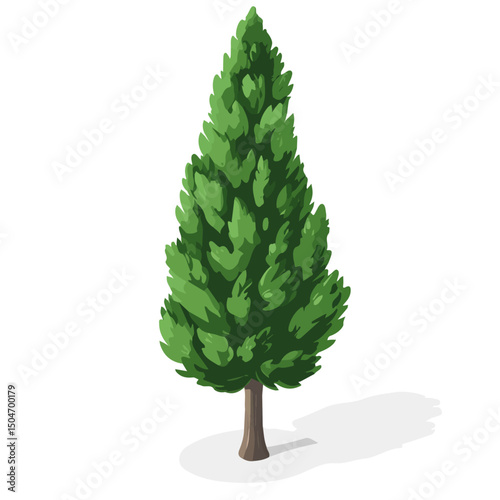 Cypress Tree, cartoon vector illustration, flat 2D isometric style, white background.
