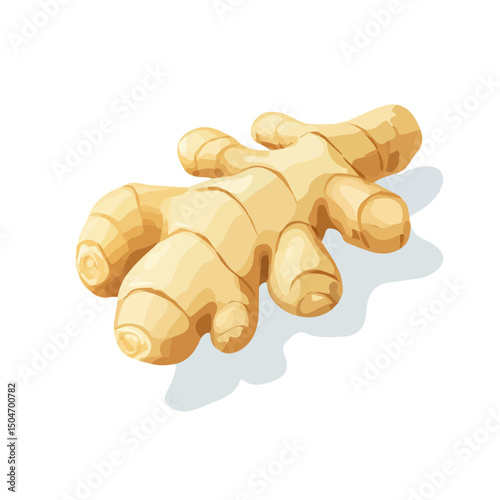 Ginger Root, flat 2D isometric cartoon vector image isolated on white background.