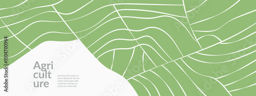 Agricultural vineyard field and rice crops with green geometric pattern. Aerial view of summer landscape with tea, wheat. Sustainable brochure, banner, advertising template. Abstract vector design