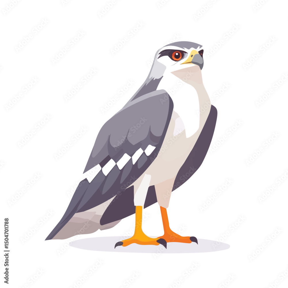Obraz premium Goshawk, vector graphic, 2D flat isometric cartoon illustration on white background. 