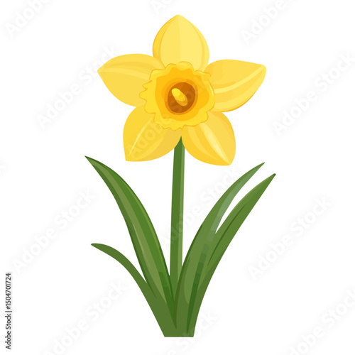 Daffodil, flat 2D isometric cartoon vector image isolated on white background.