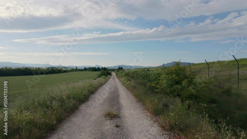 Peaceful Drive Through Sunny Natural Landscape