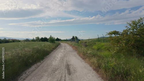 Peaceful Drive Through Sunny Natural Landscape