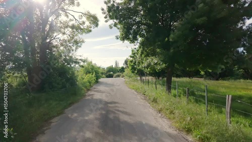 Peaceful Drive Through Sunny Natural Landscape