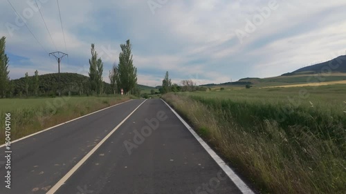 Peaceful Drive Through Sunny Natural Landscape
