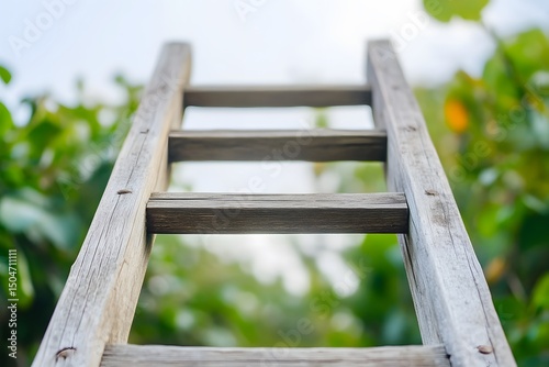 Wooden Ladder Reaching Upward, Nature Background, Growth Concept