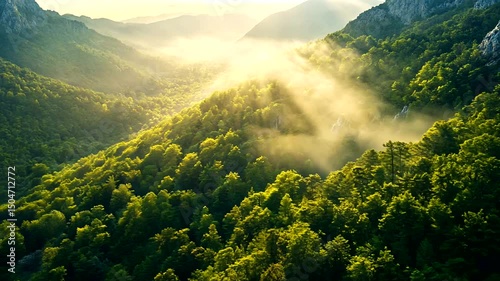 Verdant valley descends with misty fog, sunbeams filtering through green canopy, mountains frame backdrop, nature's serene landscape