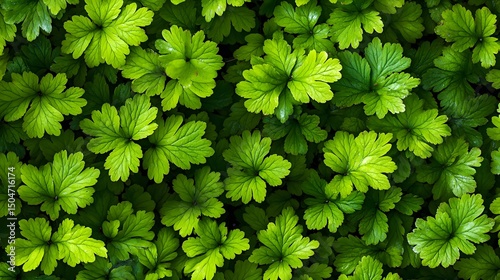 Vibrant Green Leaf Background Lush Foliage Texture