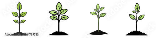 Growth stages of plants illustrated as line art in an isolated design, showcasing the journey from seedling to mature plant