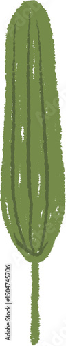 Crayon Seaweed Plant
