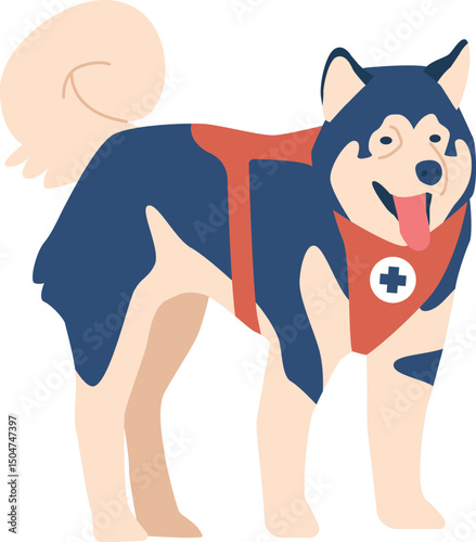 Tired avalanche rescue husky dog