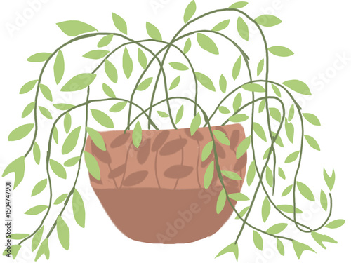 Green climbing flowering plant in a brown pot, adding natural beauty and freshness to any indoor or outdoor space.
