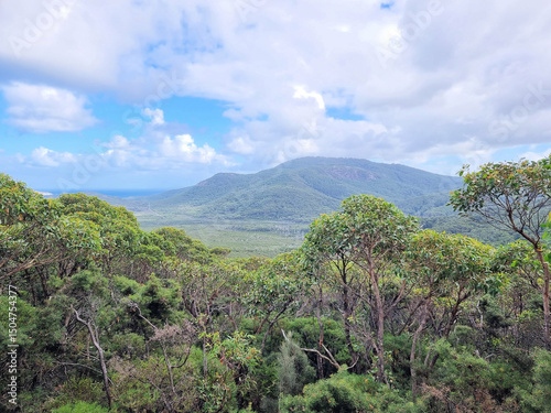 View of a tree covered mountain through eucalypt forest in Victoria Australia. Taken on Mount Oberon Wilsons Promontory 