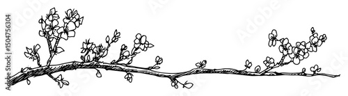 flowering twig branch in vintage engraving style