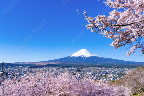 山梨県富士吉田市　春の新倉山浅間公園