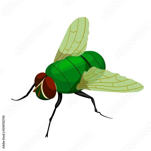 fly green insect vector image without background