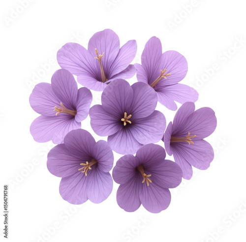 A Beautiful Arrangement of Vibrant Purple Flowers Artfully Displayed in a Circular Pattern, Isolated on Transparent and White Background