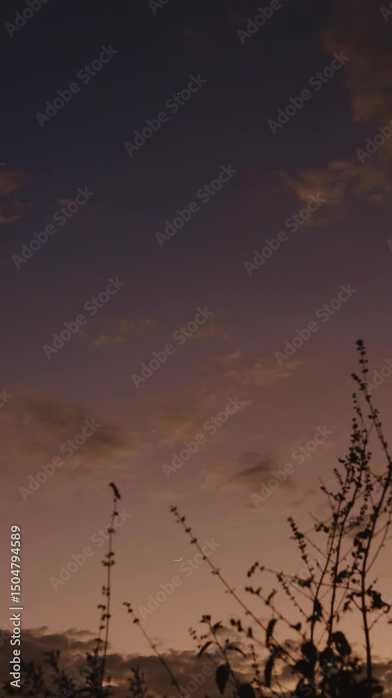 Nascer do dia com a lua e uma estrela no céu