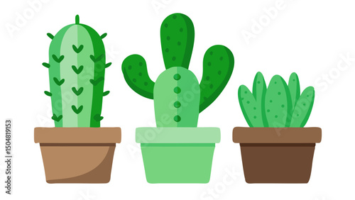 cactus in a pot