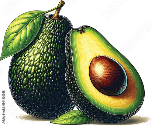 Realistic Avocado Vector Illustration with Leaf – Whole and Cut in Half