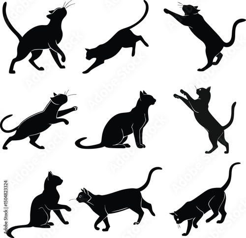 Cat Silhouettes, Black Cat Clipart Bundle, Cat SVG Bundle, Cats PNG, Cats SVG, Black Cat Vector Illustrations,CATS Bundle SVG, Cat SVG, Cats Svg Cut Files for Cricut, Cats Clipart, Cats Vector