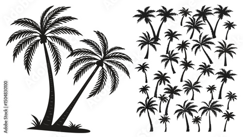 Palm Tree Silhouettes Vector Collection