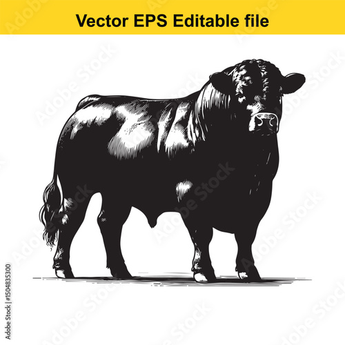 Angus Bull, Cow, and Calf Vector Silhouettes | Livestock Line Art | Farm Animal Clipart Collection