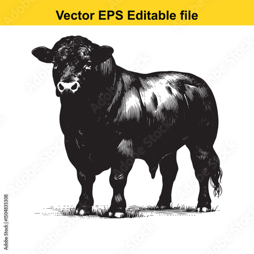 Angus Bull, Cow, and Calf Vector Silhouettes | Livestock Line Art | Farm Animal Clipart Collection