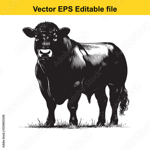 Angus Bull, Cow, and Calf Vector Silhouettes | Livestock Line Art | Farm Animal Clipart Collection