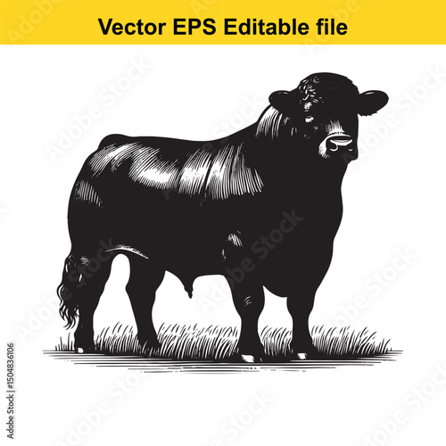 Angus Bull, Cow, and Calf Vector Silhouettes | Livestock Line Art | Farm Animal Clipart Collection