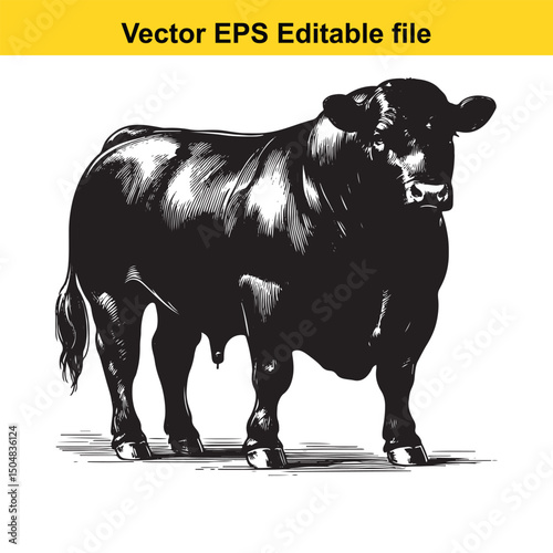 Angus Bull, Cow, and Calf Vector Silhouettes | Livestock Line Art | Farm Animal Clipart Collection